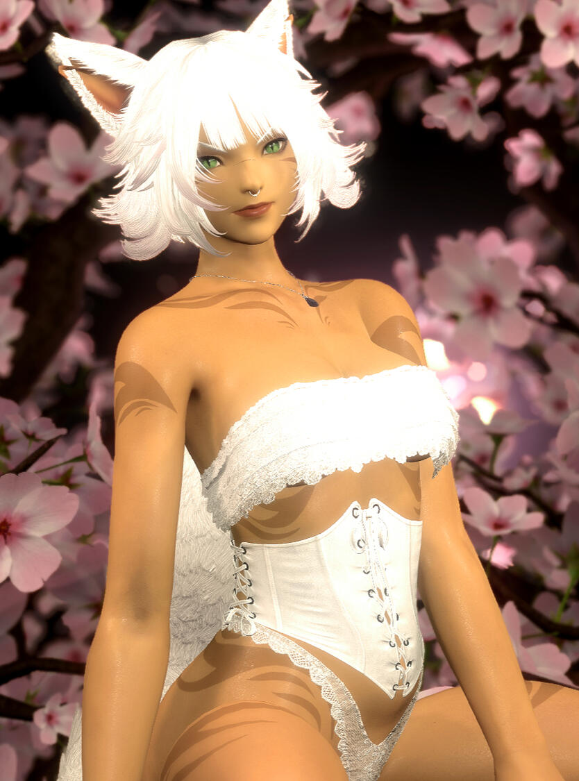 Zora - Services Provided